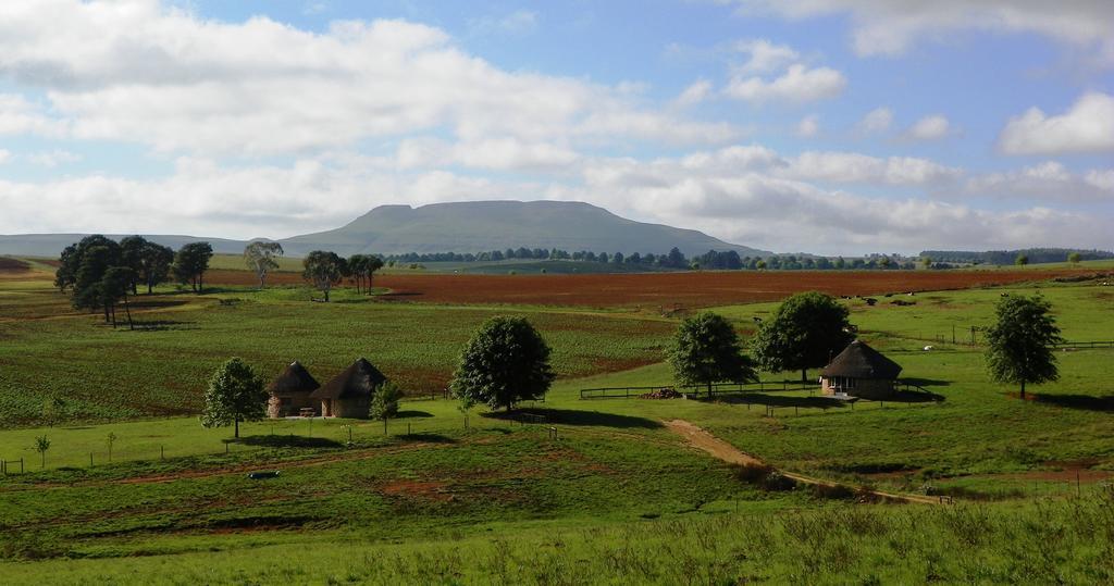 Blackbrook Farm アンダーバーグ エクステリア 写真